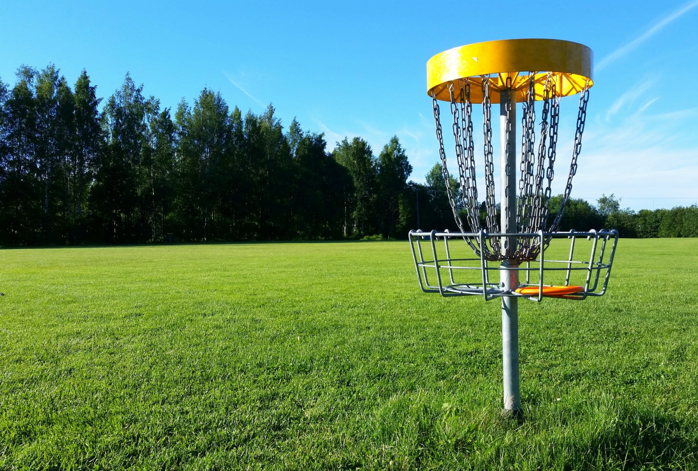 10 Disc Golf Rules You Don't Want To Forget